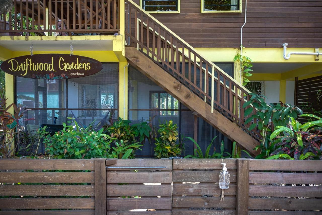 Driftwood Gardens Guesthouse Placencia Exterior photo