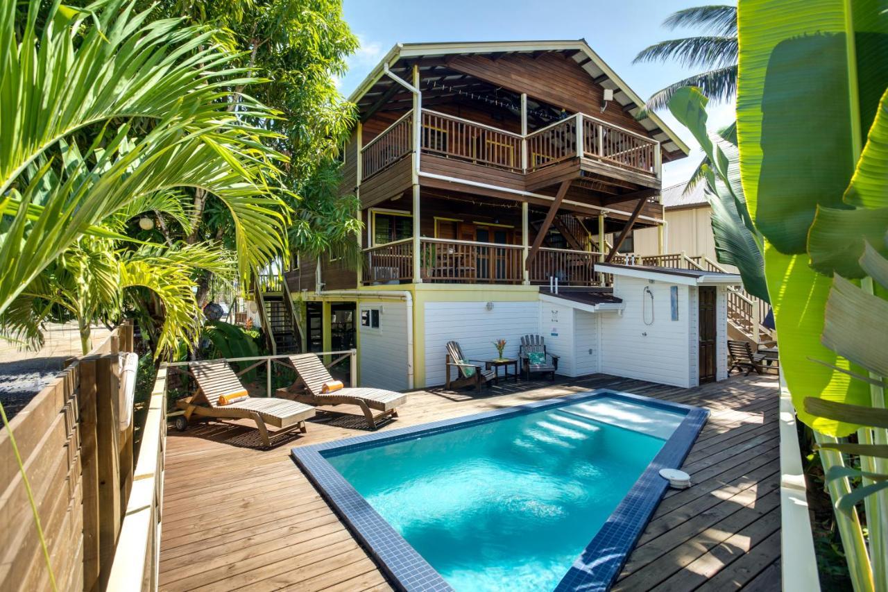 Driftwood Gardens Guesthouse Placencia Exterior photo
